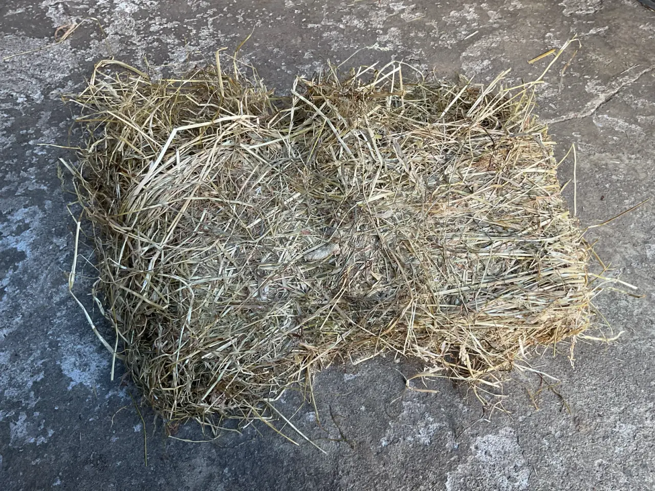 Billede 3 - Wrap i Morten Korch