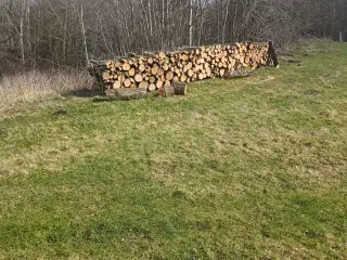 Birkebrænde savet I meterstykker.