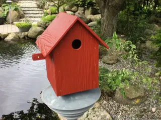Fuglehuse i Ivarplank
