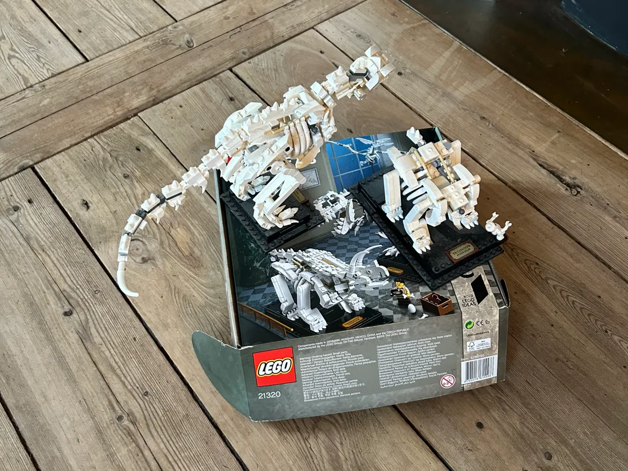 Billede 1 - LEGO 21320 - Dinosaurfossiler (Ideas)