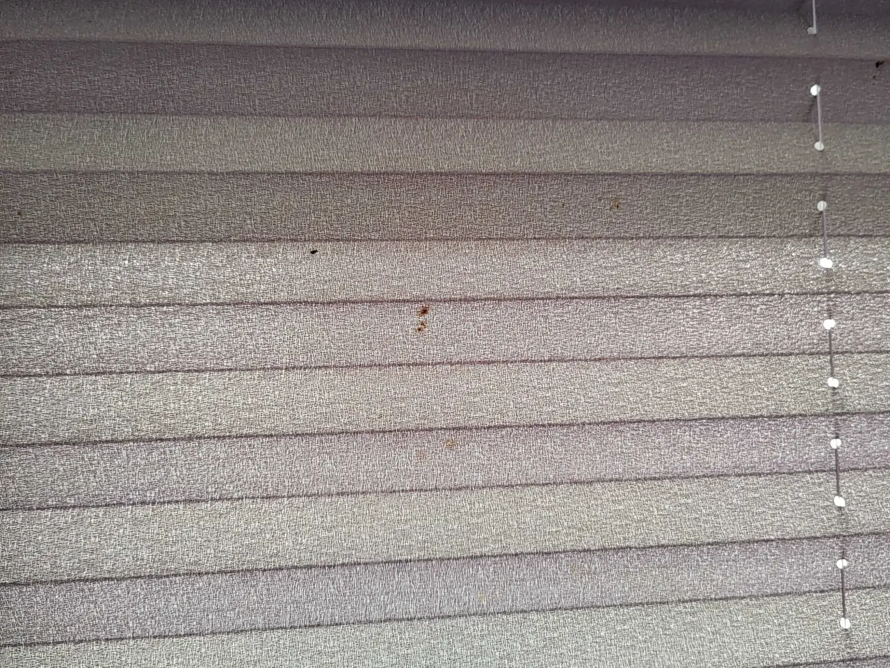 Billede 6 - 2 stk up/down plissegardin. 103*125 cm