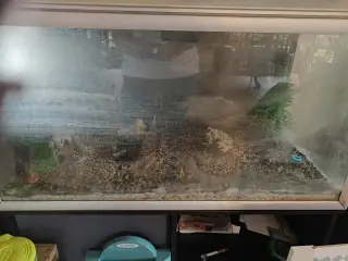 Akvarie med skab