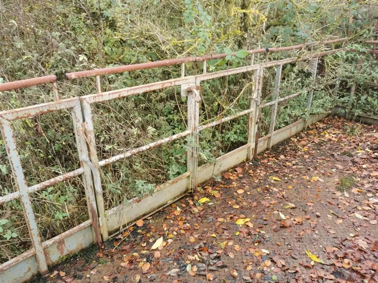 Billede 2 - Kirk Mandskabskurv type K1329