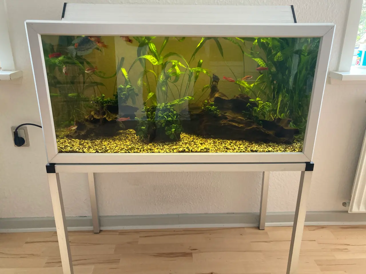 Billede 1 - Akvarium 200 liter