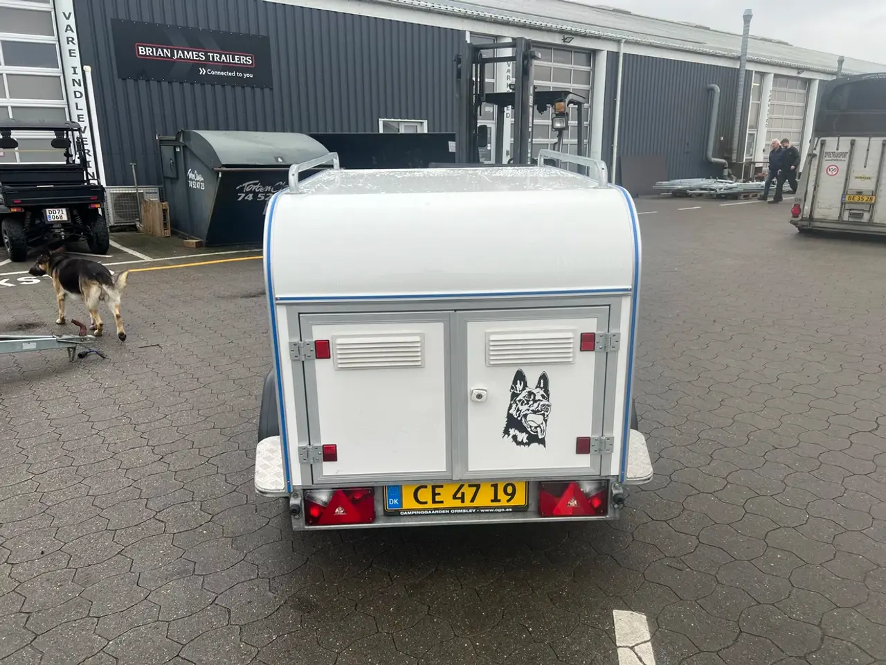 Billede 5 - En luxus hundetrailer