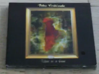 PETER VISKINDE - PICTURE IN A FRAME