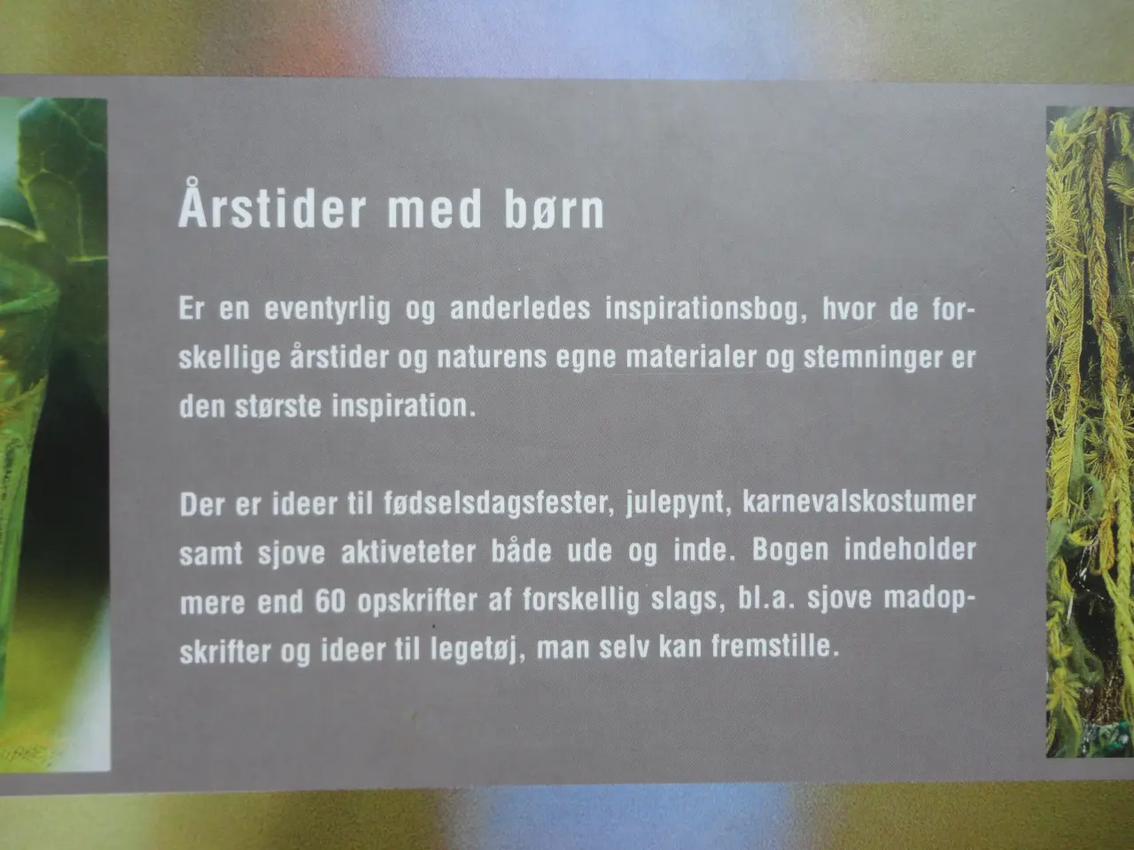 Billede 4 - Årstider med børn :