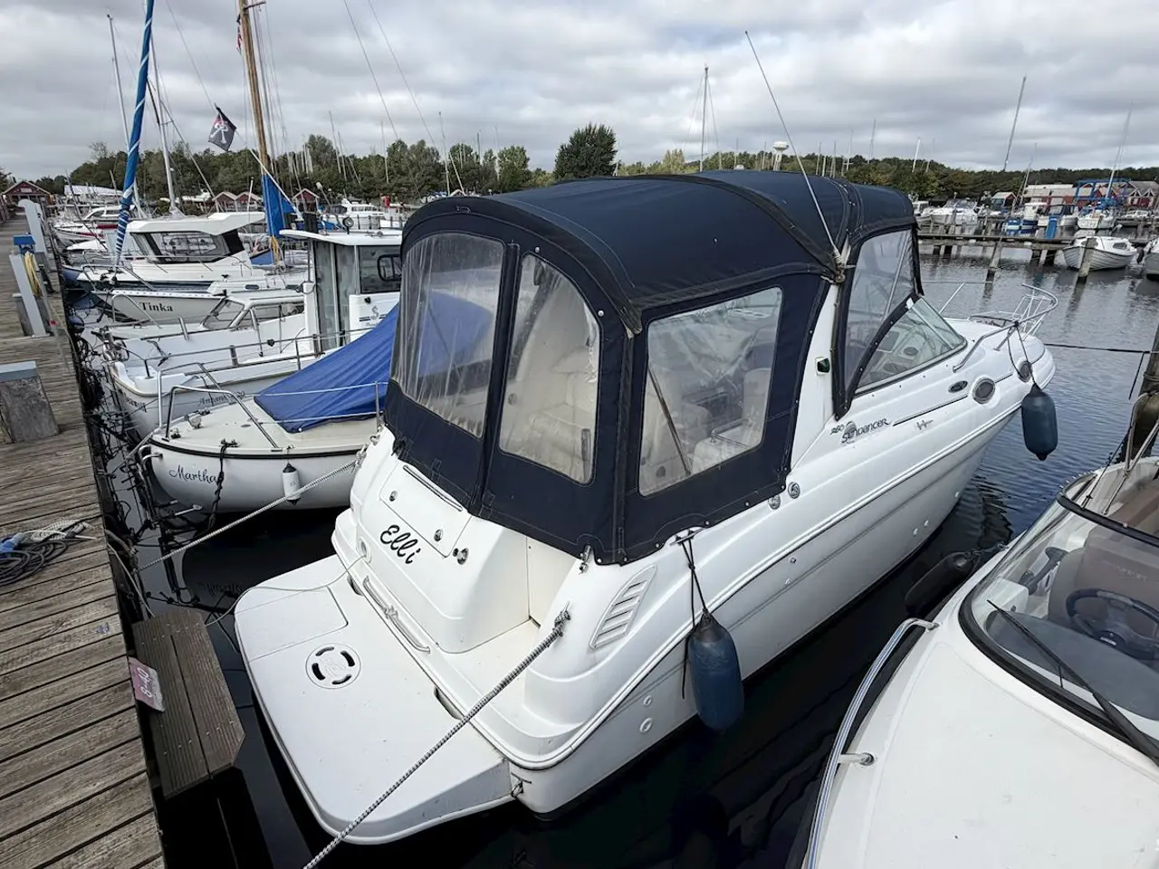 Billede 1 - Sea Ray 260 Sundancer
