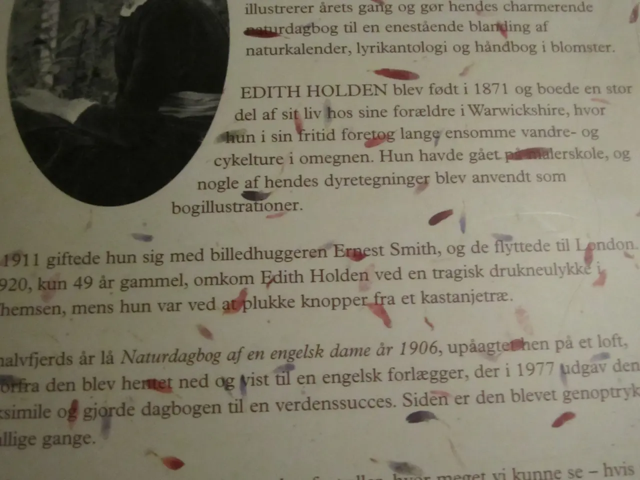 Billede 6 - NATURDAGBOG Af En Engelsk Dame År 1906.