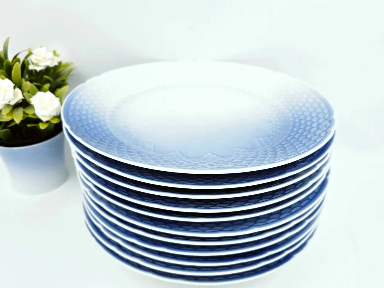 Billede 5 - Blå Tone - Musling Middagstallerken Porcelæn