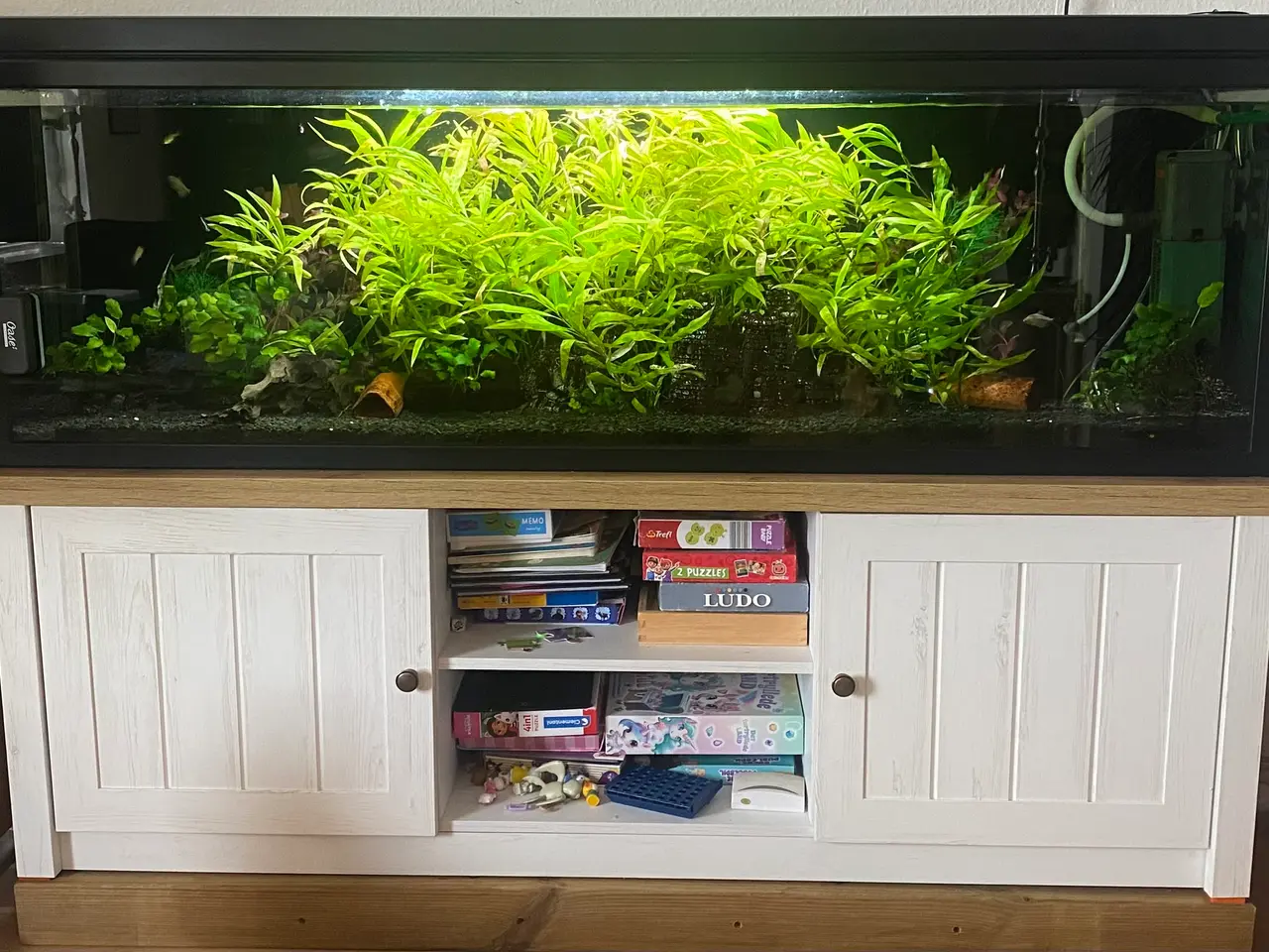Billede 1 - Specielt bygget 280L akvarie