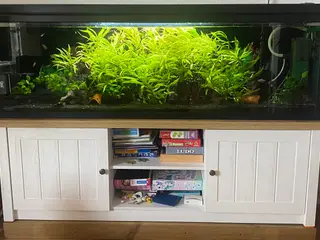 Specielt bygget 280L akvarie 