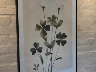 Blooming hope plakat
