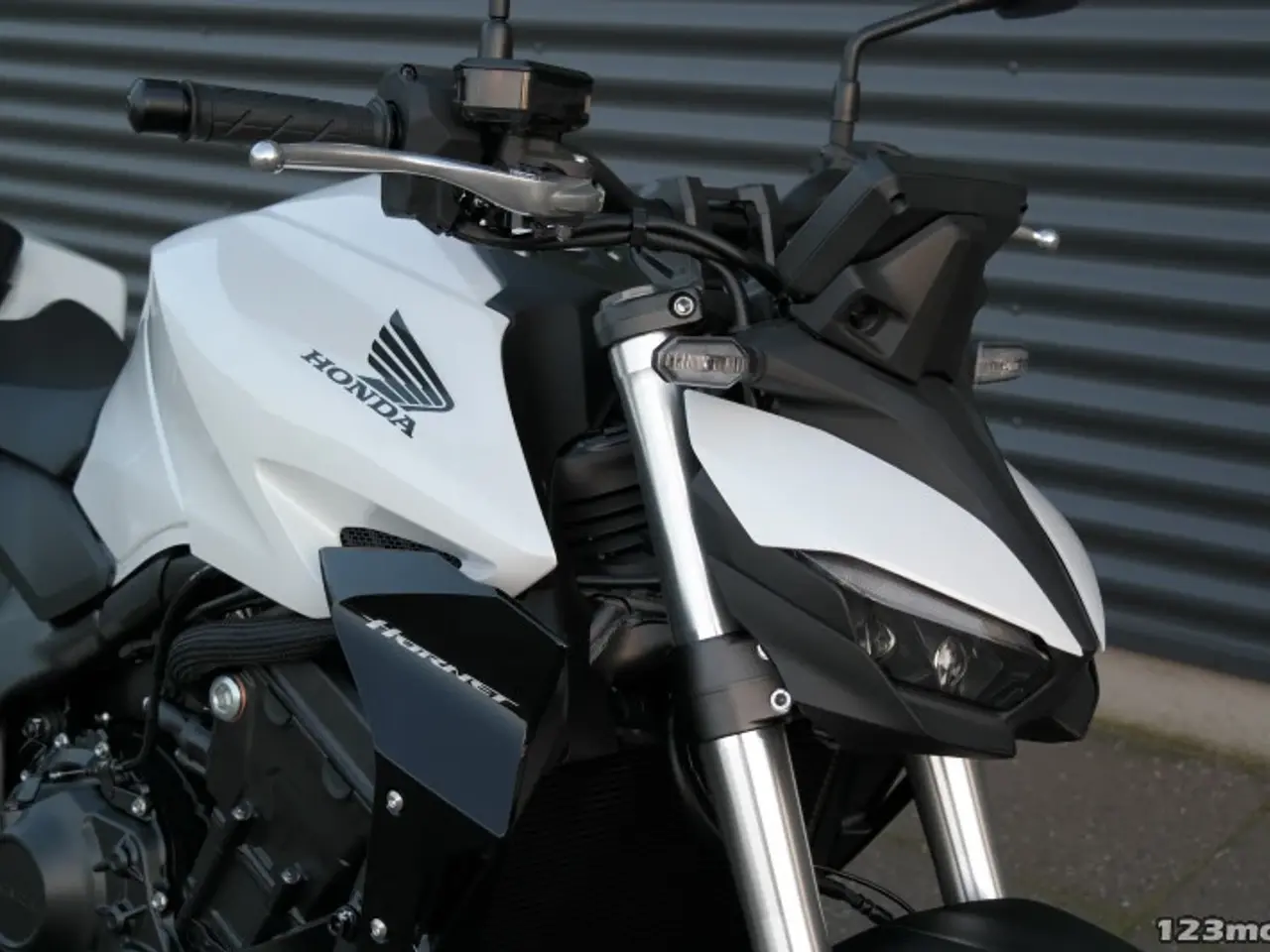 Billede 12 - Honda CB 1000 Hornet MC-SYD       BYTTER GERNE