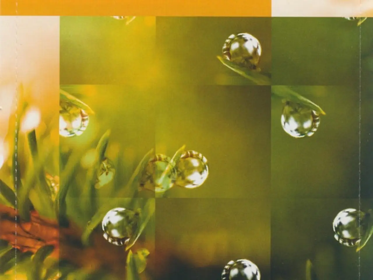 Billede 5 - Stephane Hirondelle* – Bio Technology – CD