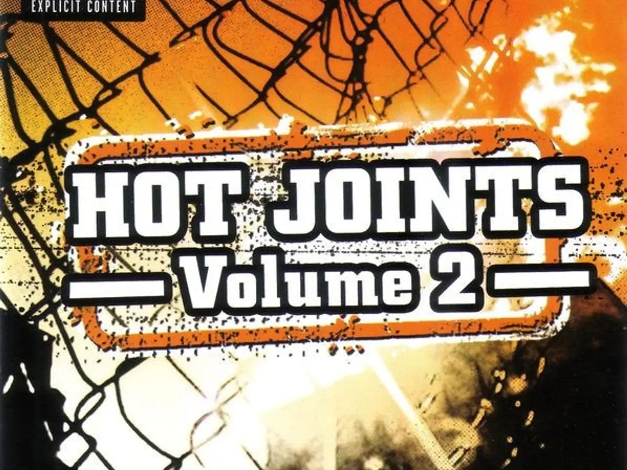 Billede 1 - Diverse kunstnere – Hot Joints - Volume 2 - – CD