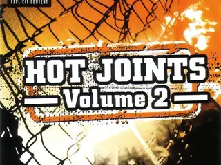 Diverse kunstnere – Hot Joints - Volume 2 - – CD