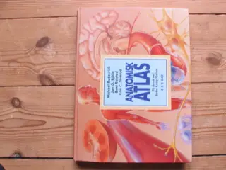 Anatomisk Atlas