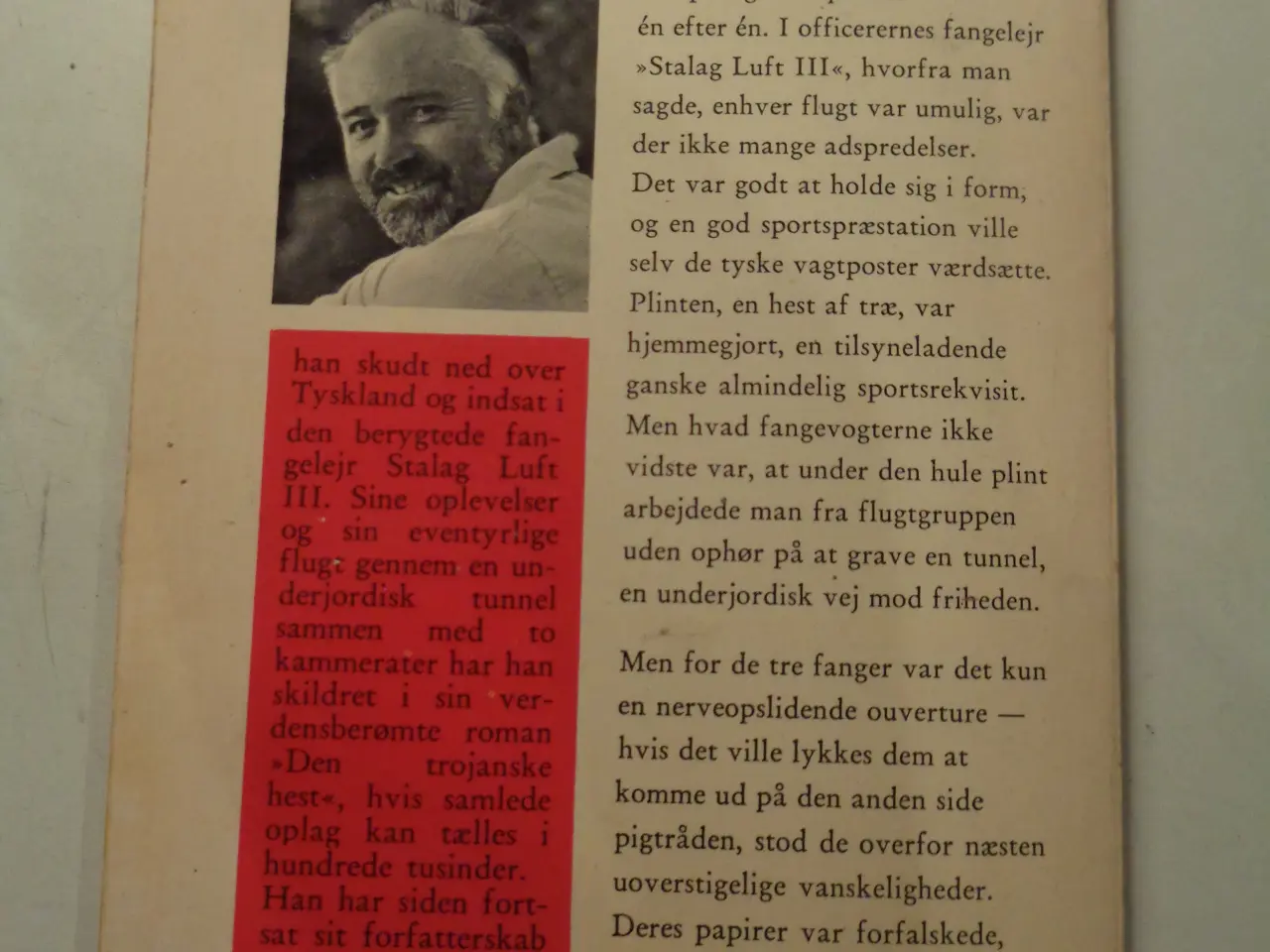 Billede 2 - Den trojanske hest