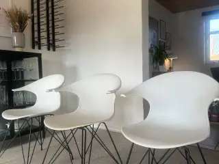 Designer stole 