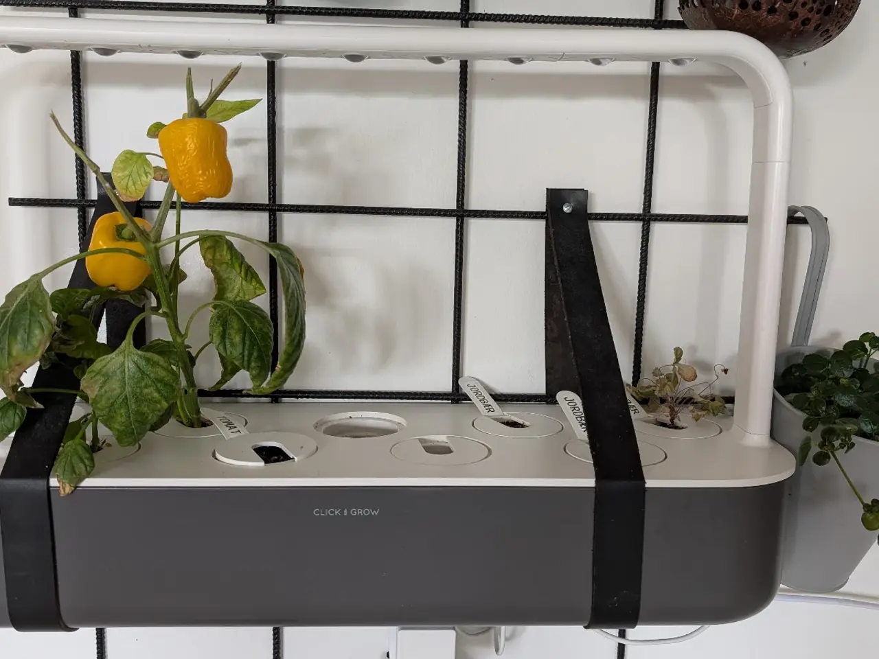 Billede 1 - Click and Grow Smart Garden 9
