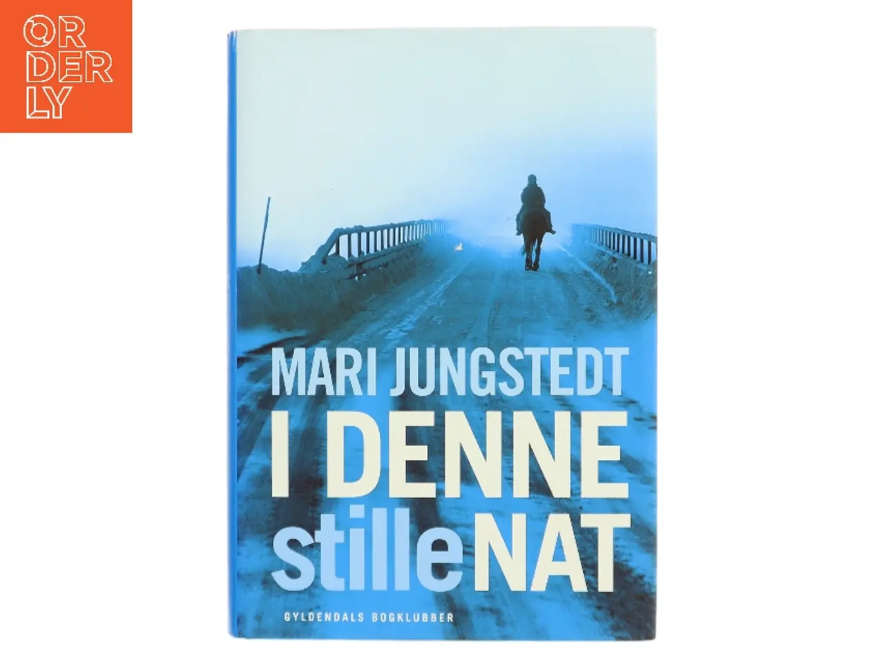 Billede 1 - I denne stille nat : roman af Mari Jungstedt (Bog)