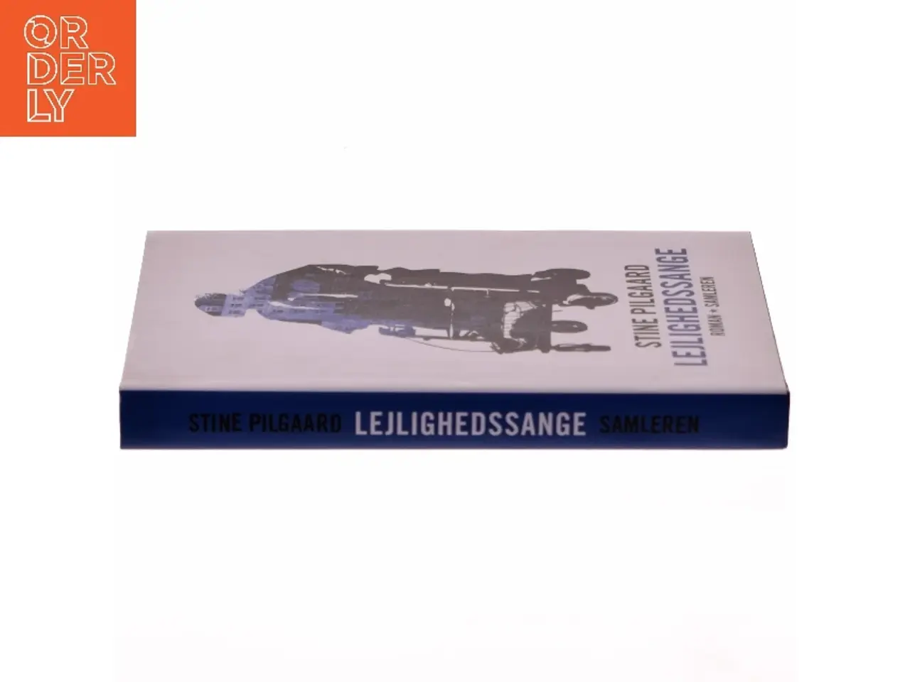 Billede 2 - Stine Pilgaard: Lejlighedssange