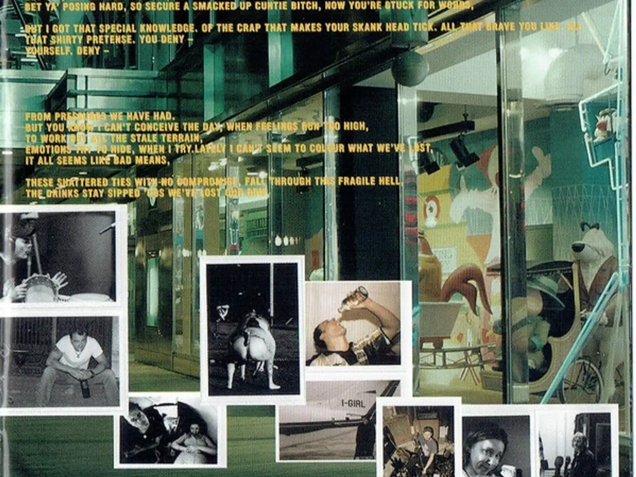 Billede 7 - Skunk Anansie – Post Orgasmic Chill – CD