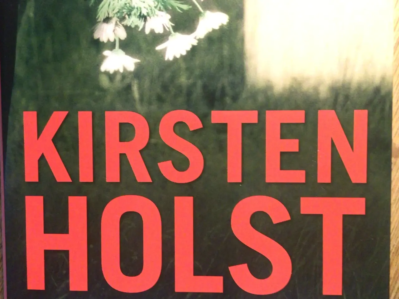 Billede 1 - Kirsten Holst: Sin brors vogter