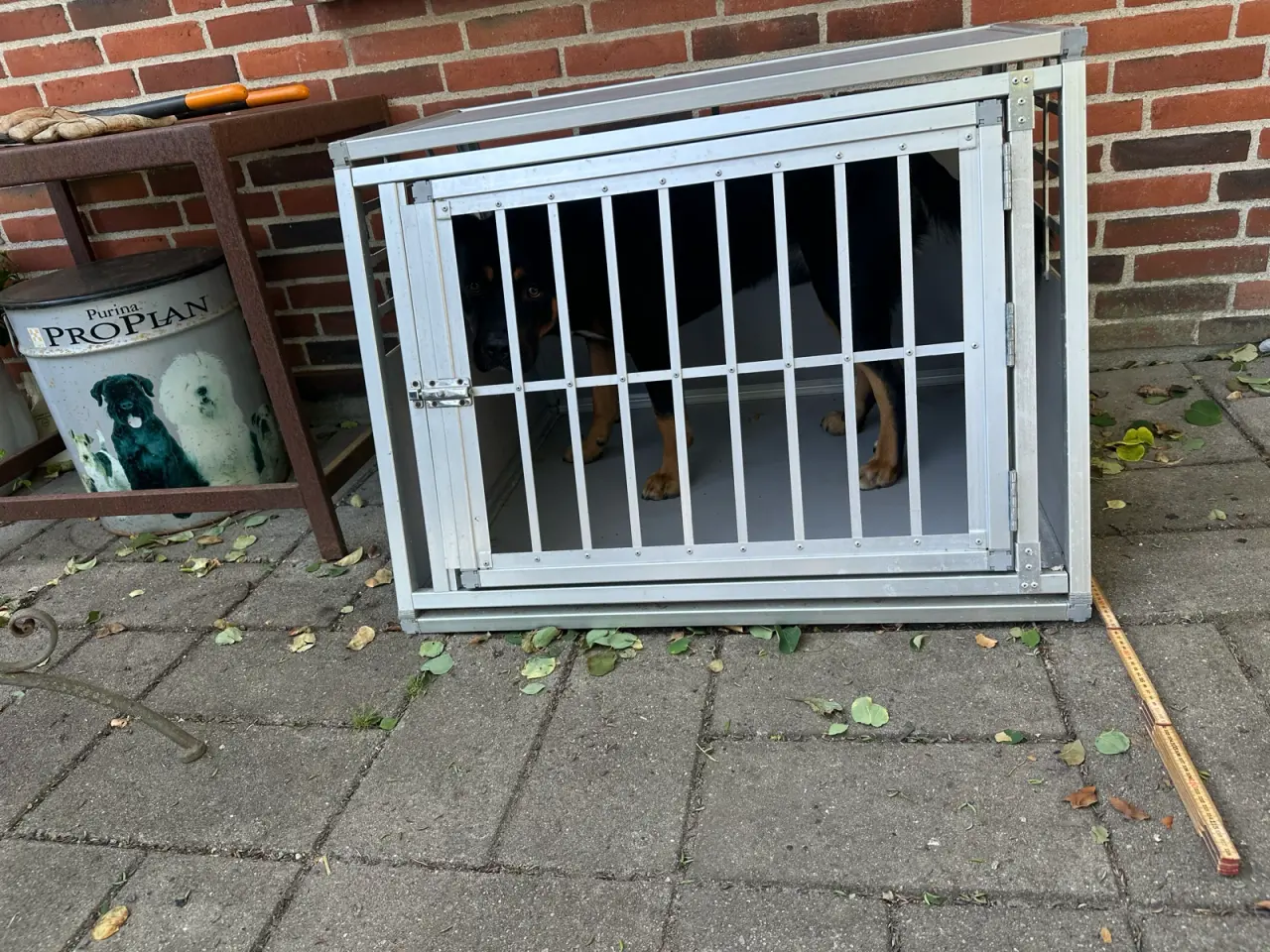 Billede 8 - Transport bur til hund