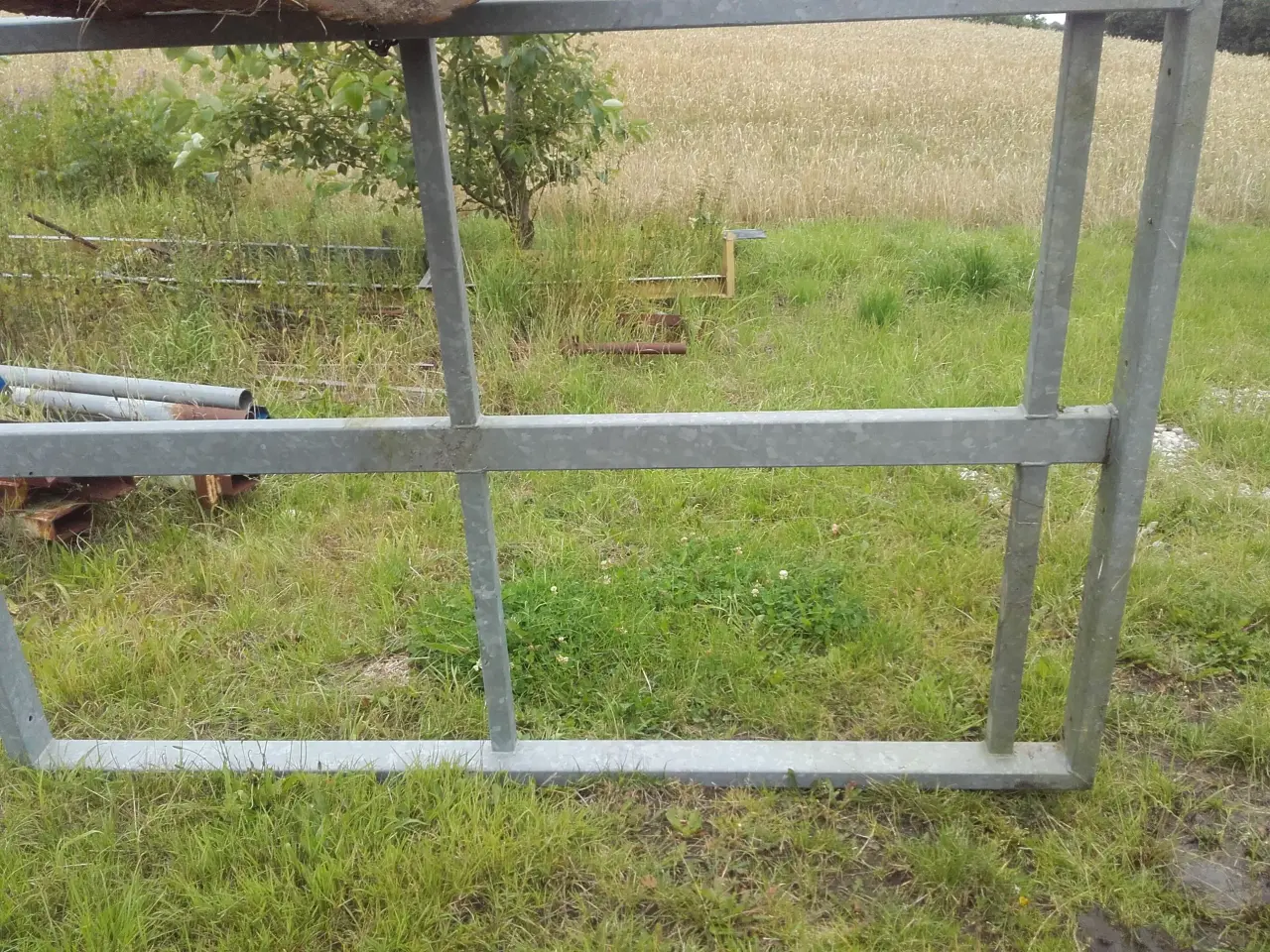 Billede 1 - Galv, rammer