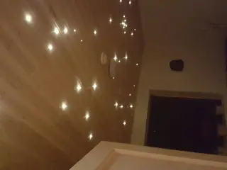 Fiberlys