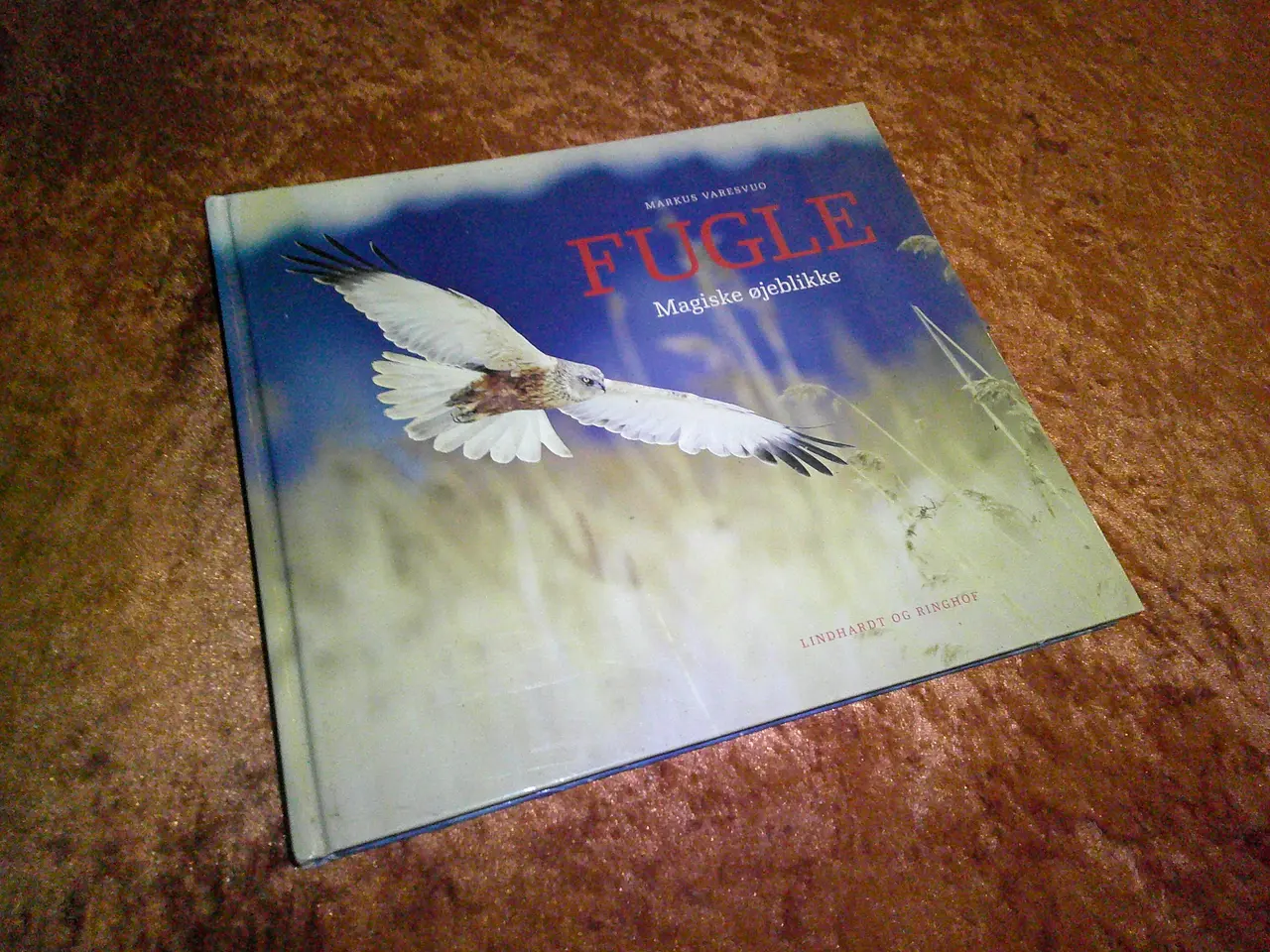 Billede 1 - Fugle magiske øjeblikke, Markus Varesvuo,