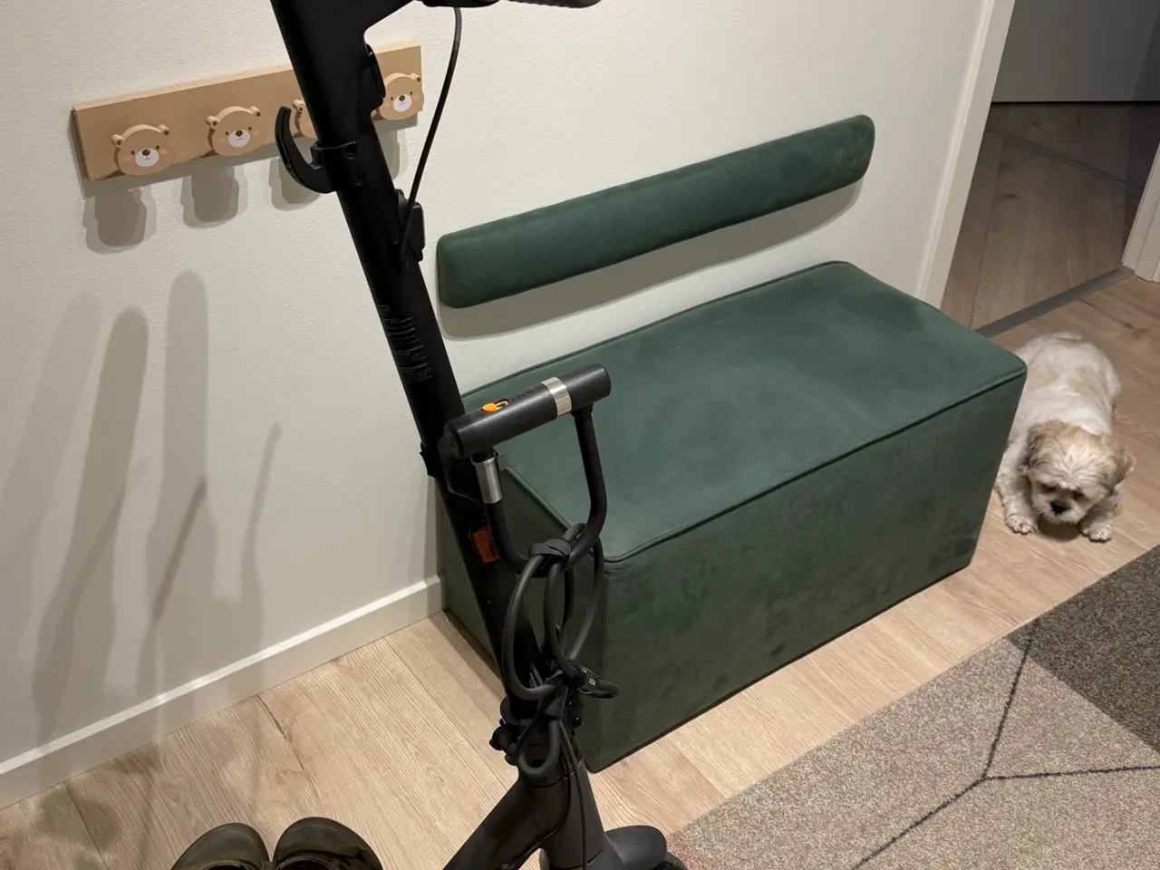 Billede 4 - Segway ninebot Max g30ii