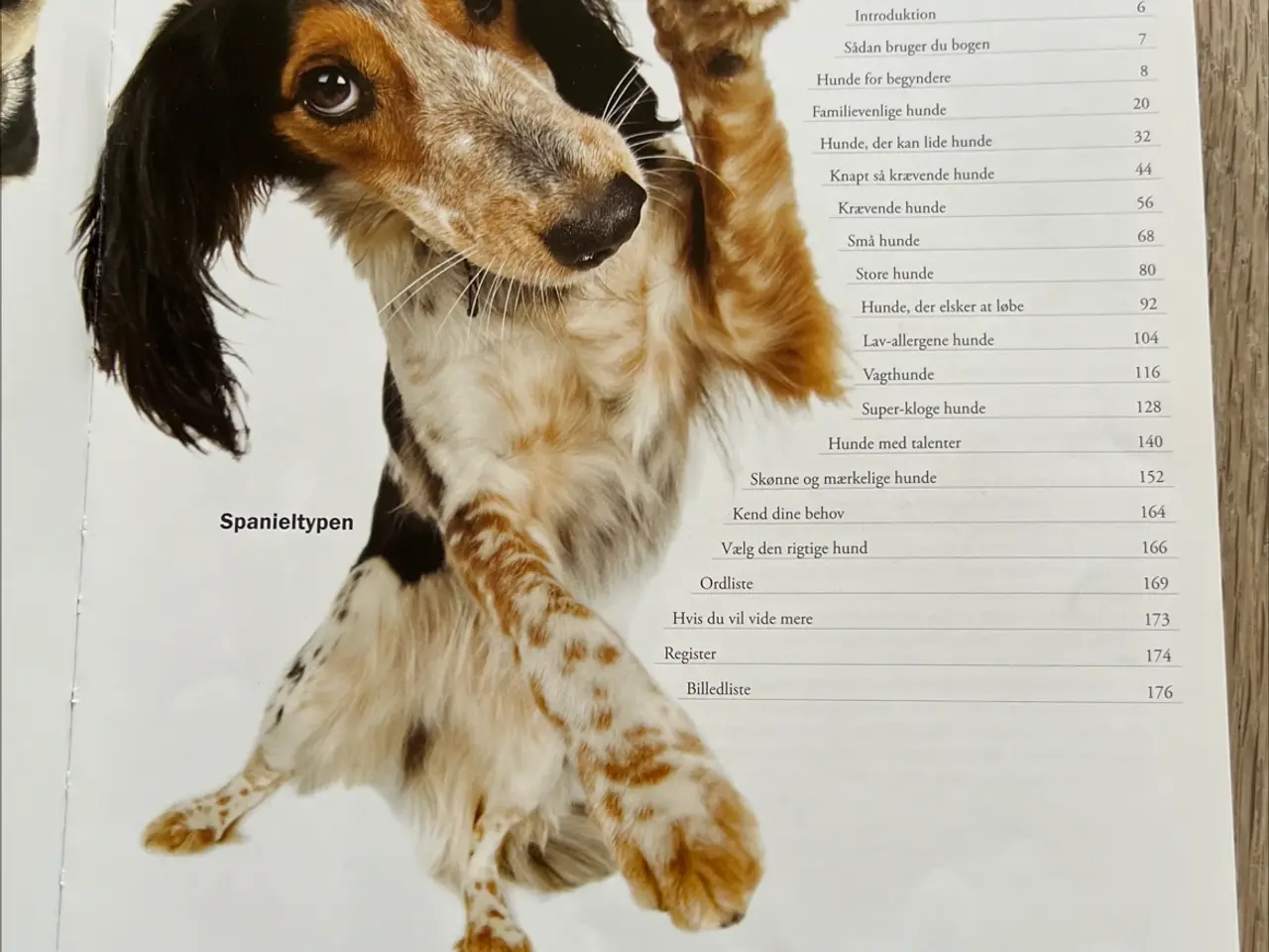 Billede 3 - Fagbog, Vælg den rigtige hund