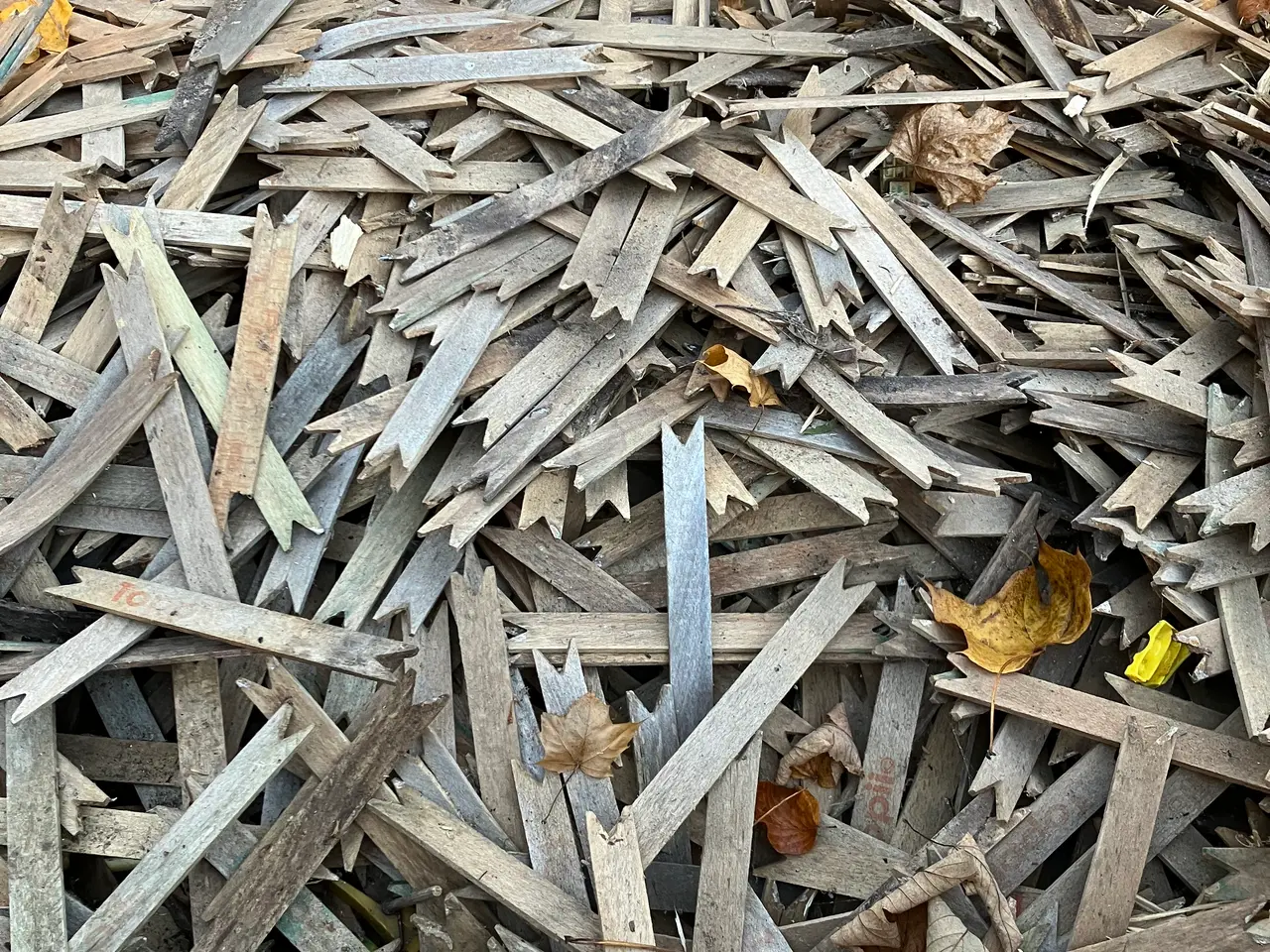Billede 1 - Fuglepinde, grenretter.