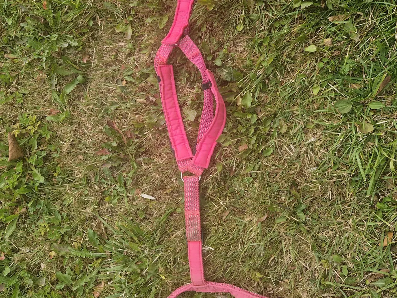 Billede 4 - Kropssele i Pink, med refleks. Str M/L