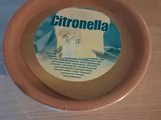 Citronella lys