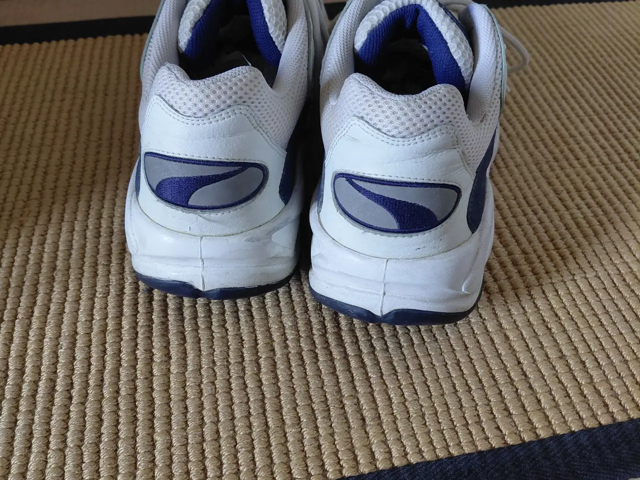 Billede 3 - Puma Trinomic sko.