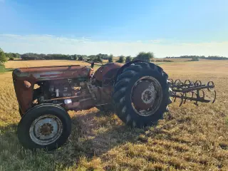 FE35 Ferguson Guldfugl MF35
