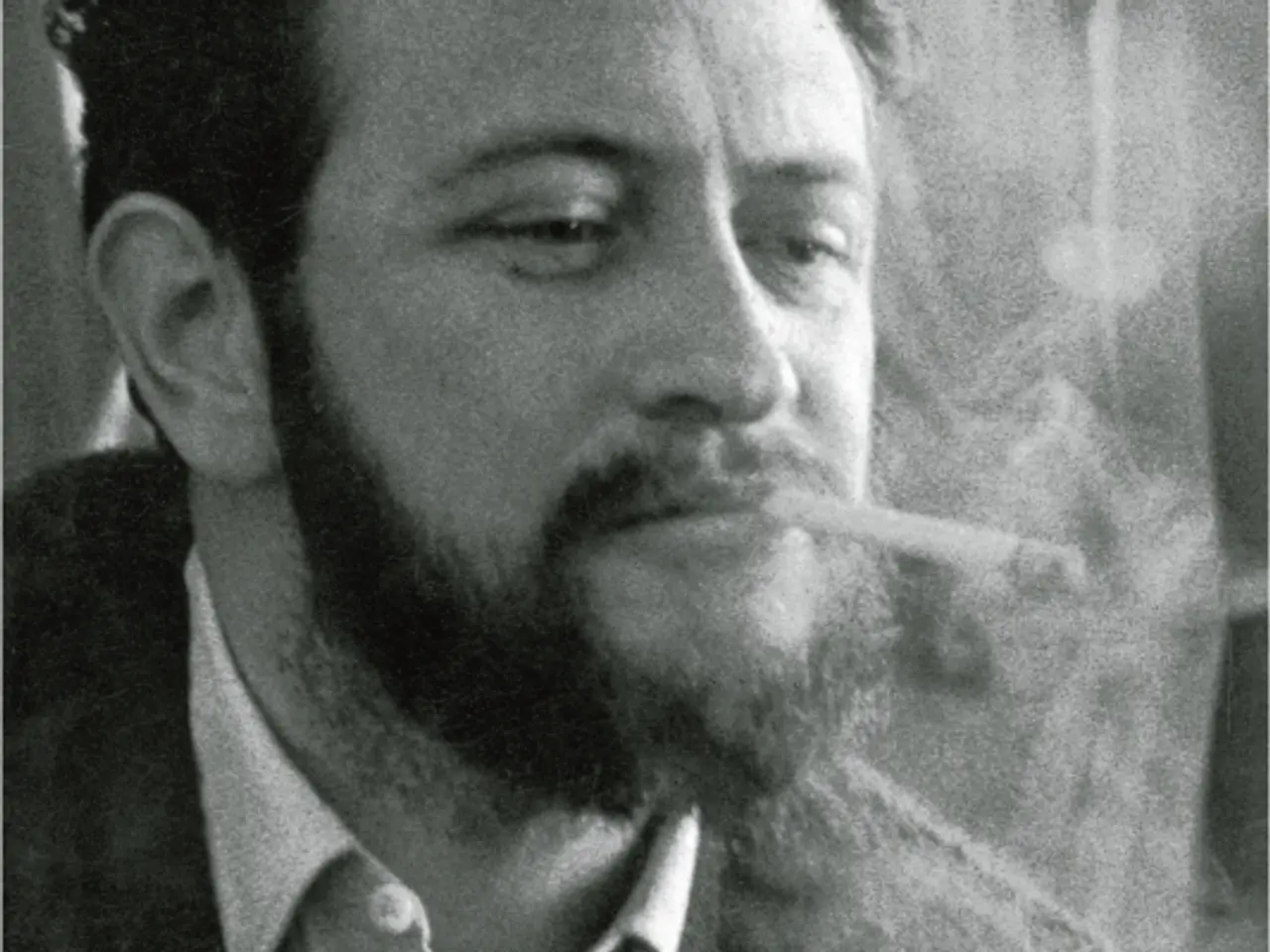 Billede 3 - Jørgen Gustava Brandt: Den geniale Monotoni, essay