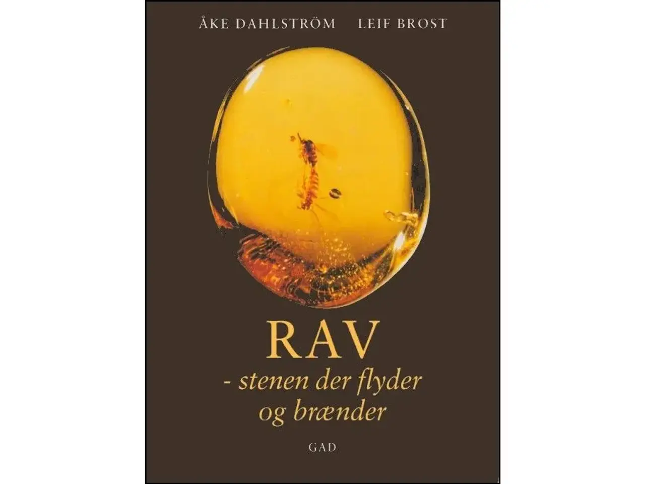 Billede 1 - Rav - Stenen der flyder og brænder