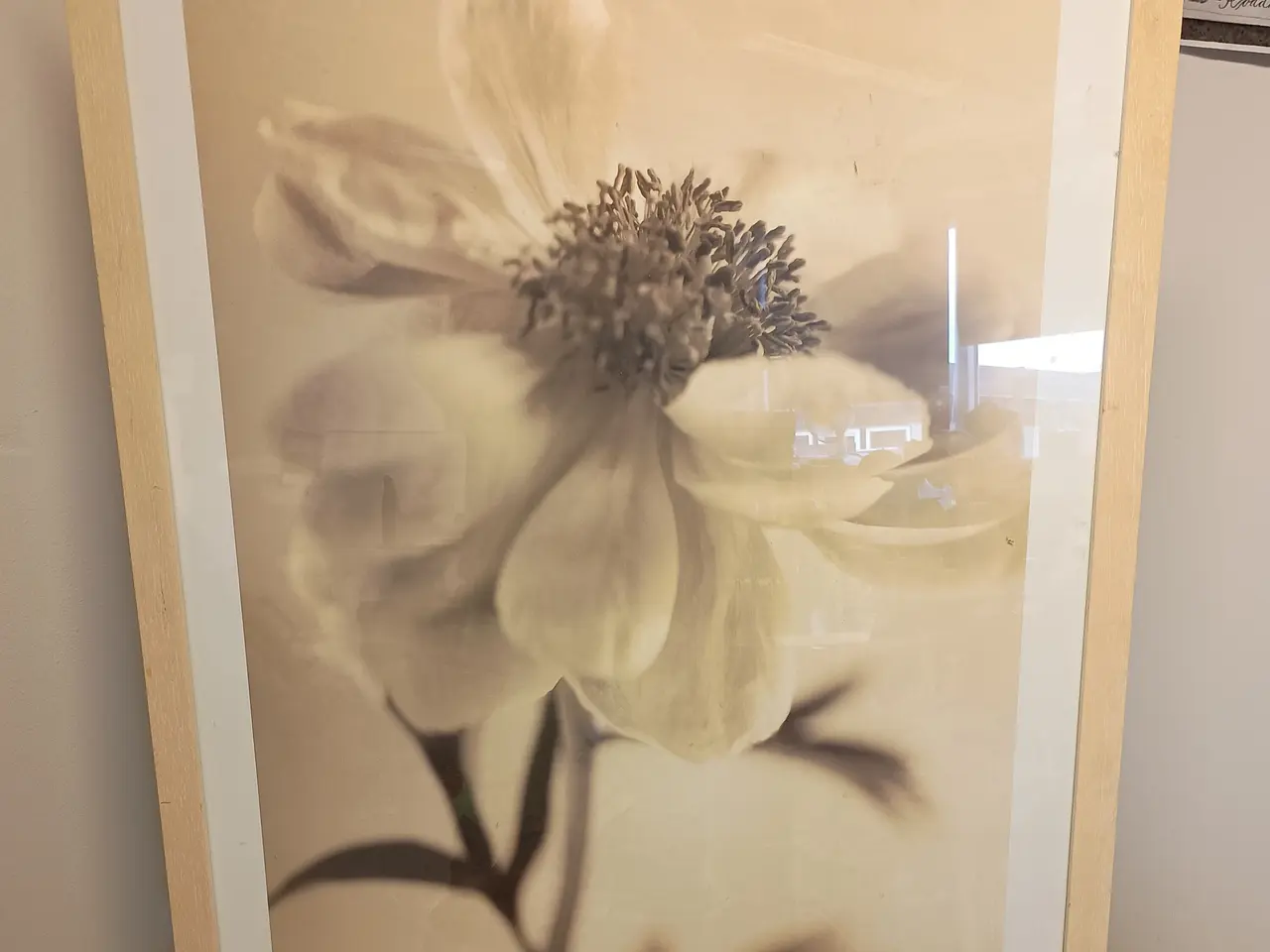 Billede 1 - Blomster plakat, indrammet.