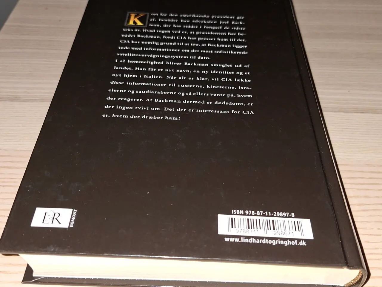 Billede 13 - Karen Fastrup, Udfordringen