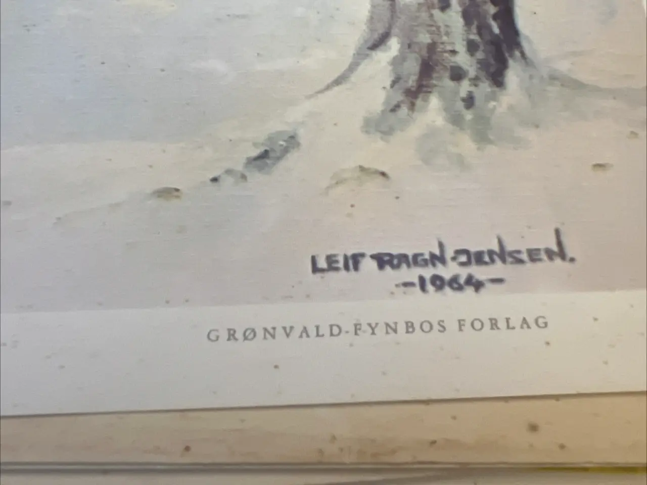 Billede 3 - Flotte billeder af Leif ragn