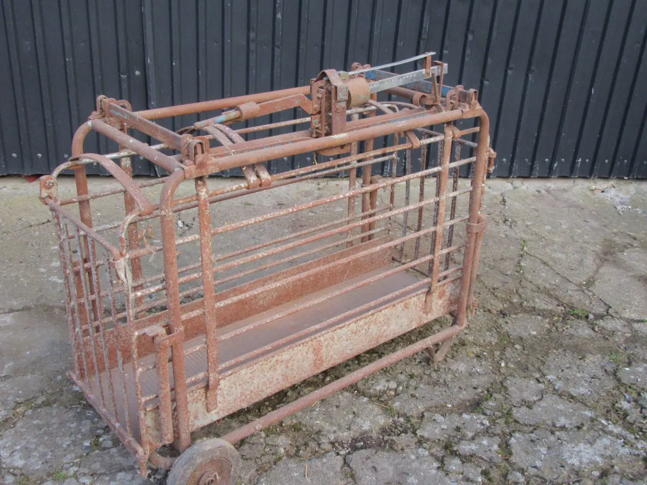 Billede 1 - grisevægt