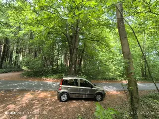 Søger Fiat Panda Lav KM