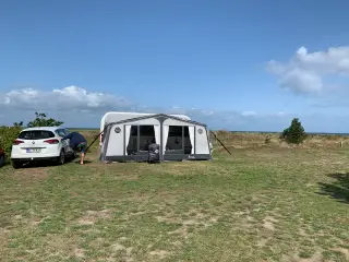 Sunshine + inkl. front + carbonst. skinnemål 989