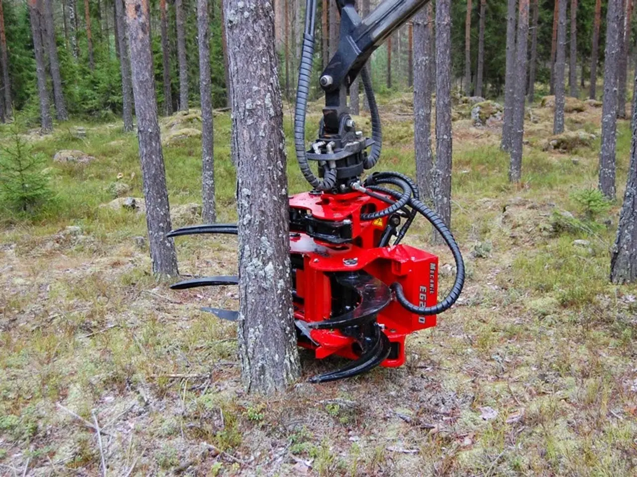 Billede 4 - Mecanil fældegrab med sav