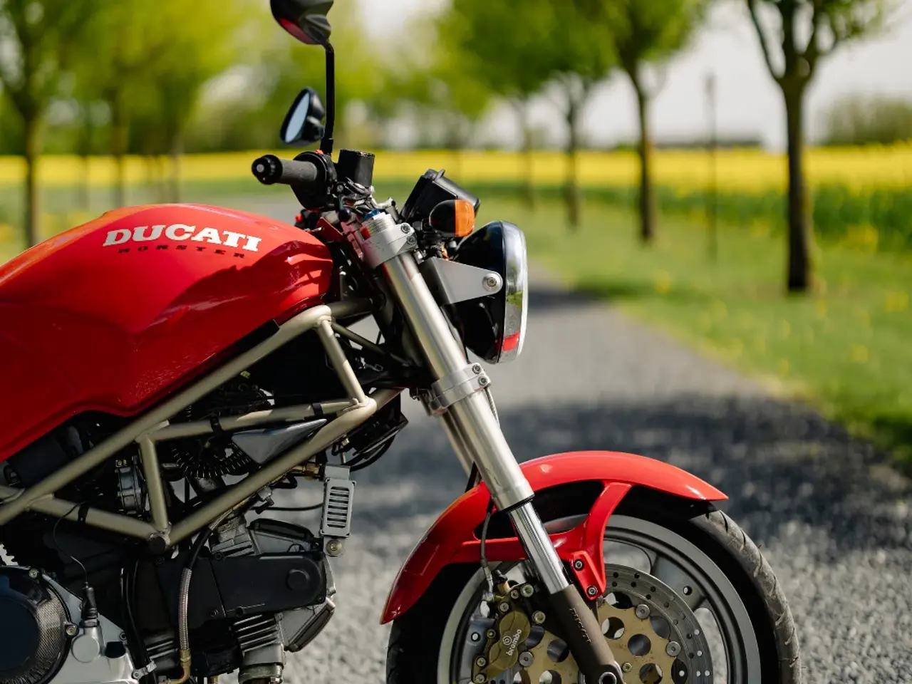 Billede 6 - 1997 Ducati 900 Monster